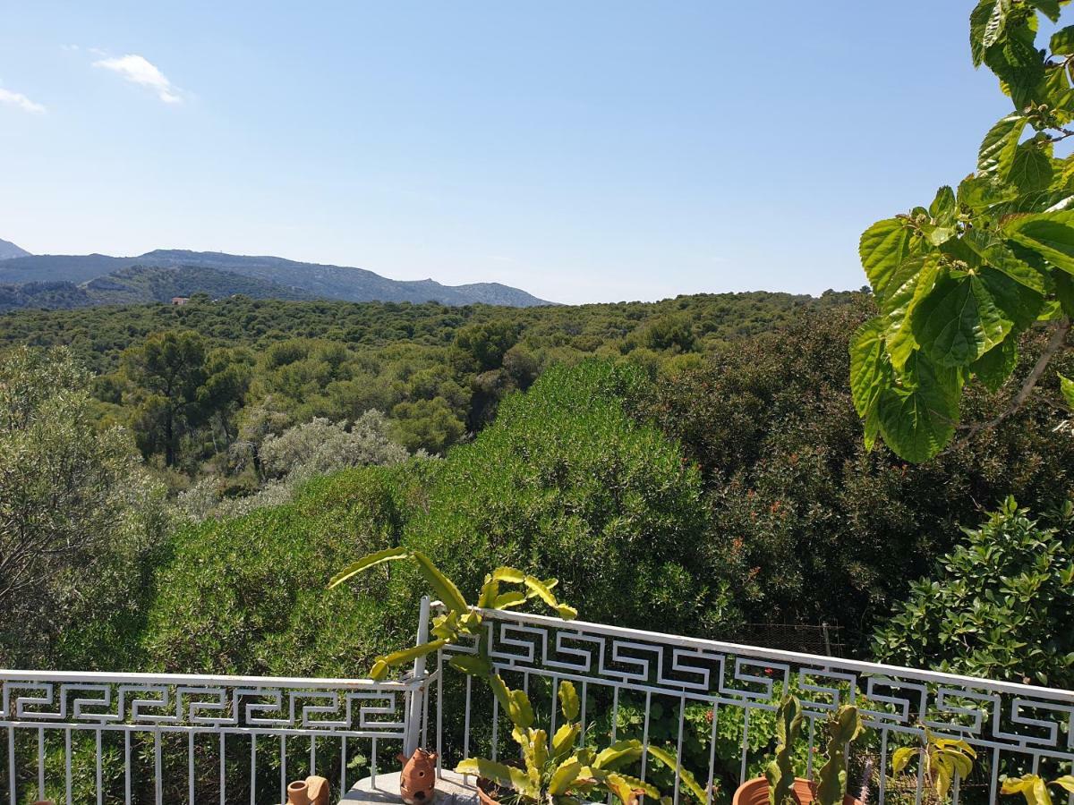 Aegina Bed & Culture Apartment Екстериор снимка