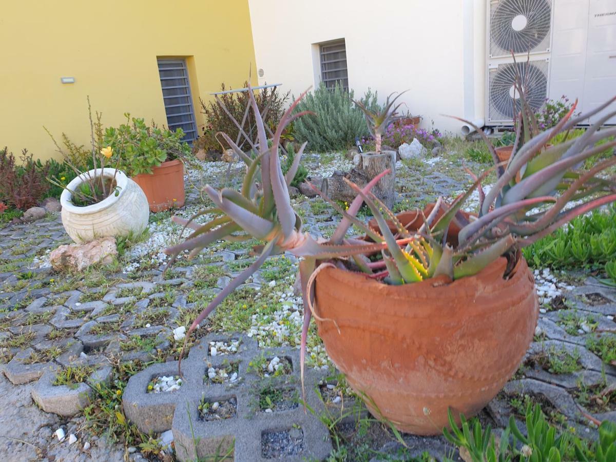Aegina Bed & Culture Apartment Екстериор снимка